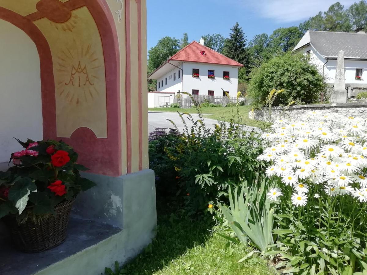 Ubytovani Praschlhaus Horni Plana Luaran gambar