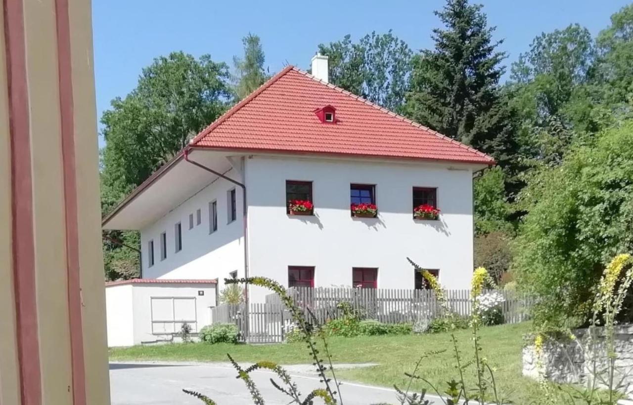 Ubytovani Praschlhaus Horni Plana Luaran gambar