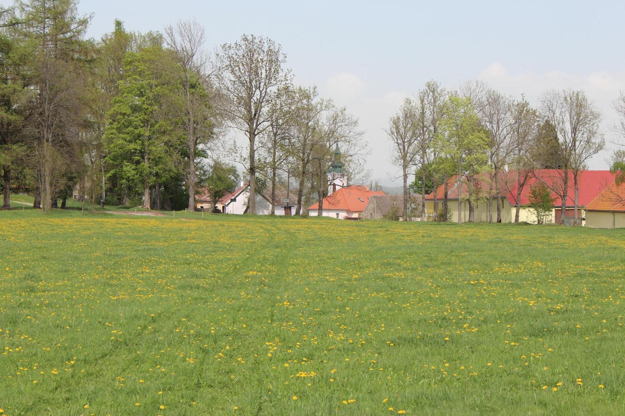 Ubytovani Praschlhaus Horni Plana Luaran gambar