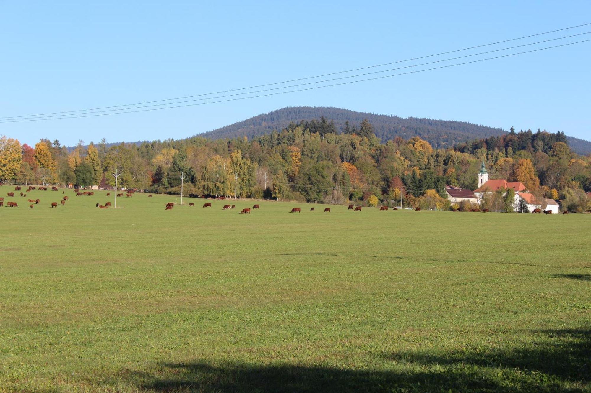 Ubytovani Praschlhaus Horni Plana Luaran gambar