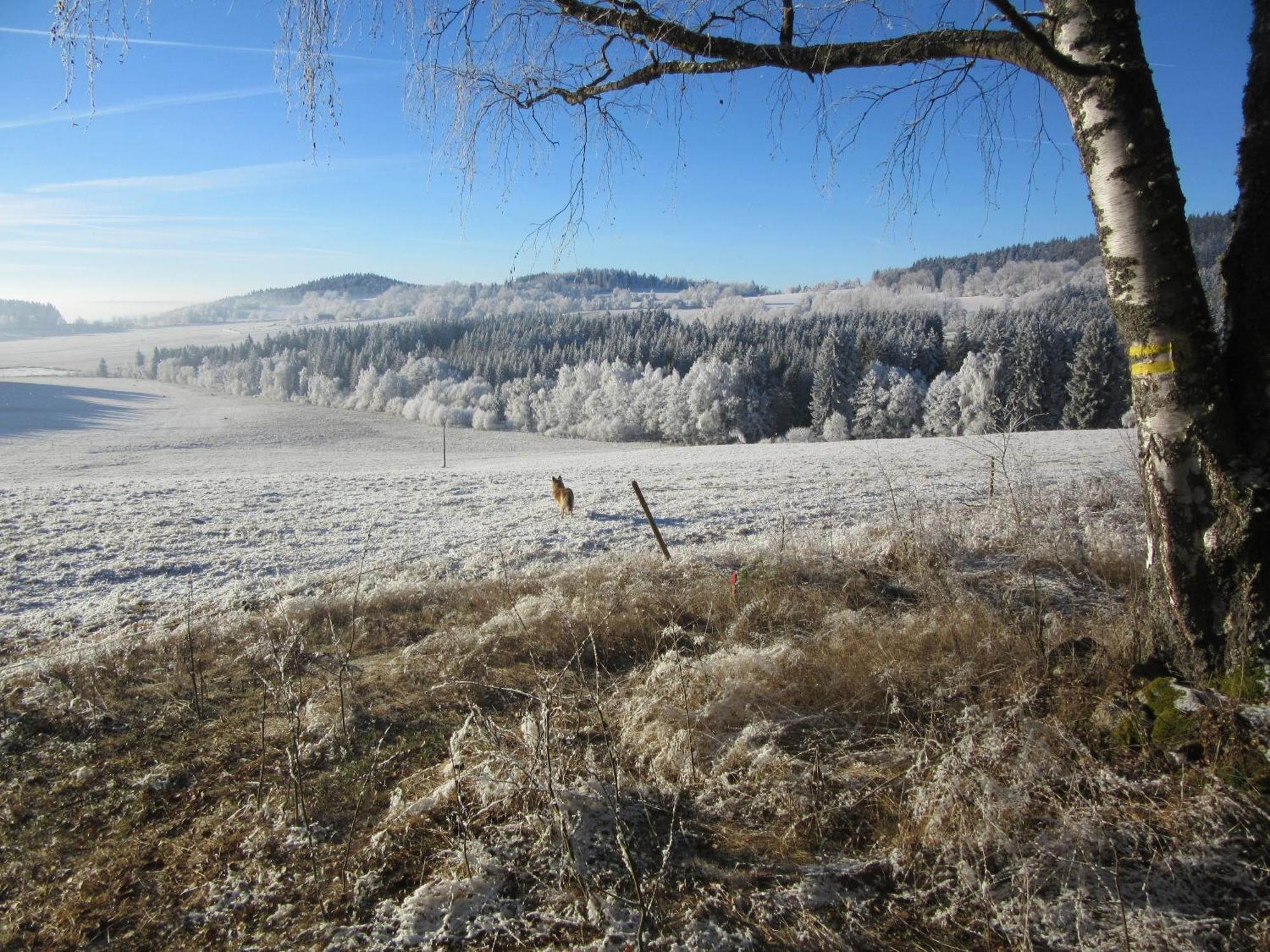 Ubytovani Praschlhaus Horni Plana Luaran gambar
