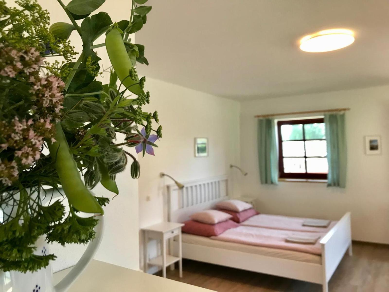Ubytovani Praschlhaus Horni Plana Luaran gambar
