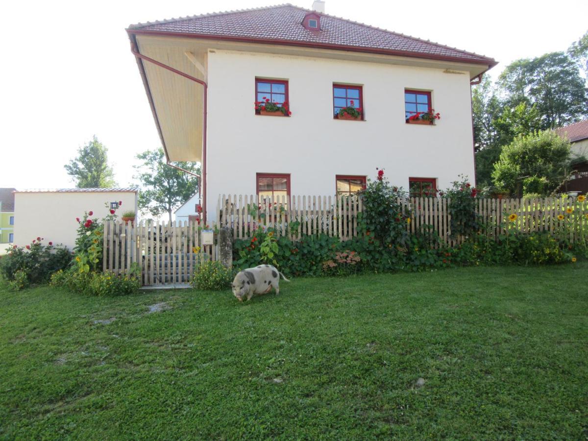 Ubytovani Praschlhaus Horni Plana Luaran gambar